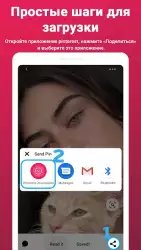 Загрузчик видео для Pinterest