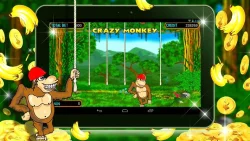 Crazy Monkey (Обезьянки) - игровые автоматы онлайн