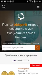 Bidspirit - аукционы в России