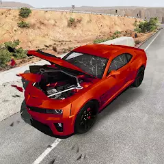 Real Car Crash (RCC)