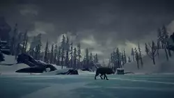 The Long Dark Mobile