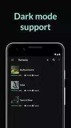 BitTorrent- Torrent Downloads