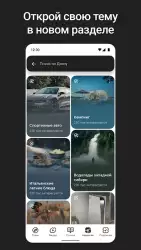Дзен — видео, статьи, новости