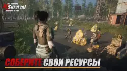 Last Island of Survival