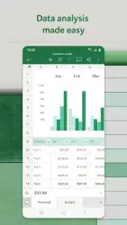 Microsoft Excel