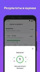Моя школа Дневник