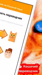 Переводчик на кошачий язык