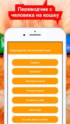 Переводчик на кошачий язык