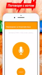 Переводчик на кошачий язык