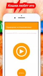 Переводчик на кошачий язык