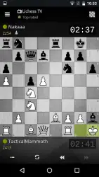Lichess — шахматы