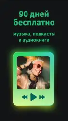 Звук