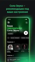 Звук