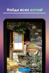 Найди кота