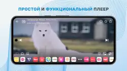TV+: цифровое телевидение