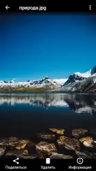 Файловый менеджер