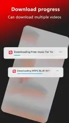 Tube Video Downloader