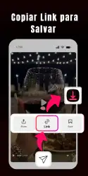 Like Video Downloader без водяного знака