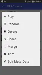 Video to MP3 Converter