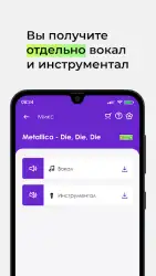 Voix — убрать голос из песни