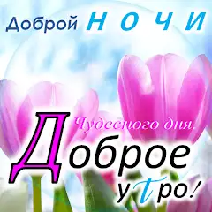 Доброе утро, день, ночь