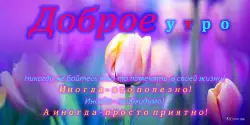Доброе утро, день, ночь
