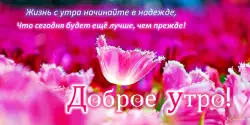 Доброе утро, день, ночь