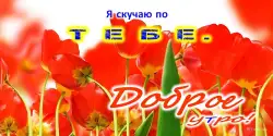 Доброе утро, день, ночь