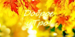 Доброе утро, день, ночь